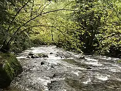 Le fleuve Dordogne à la Bourboule.