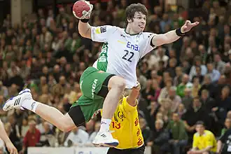 Image illustrative de l’article Momir Rnić (handball, 1987)