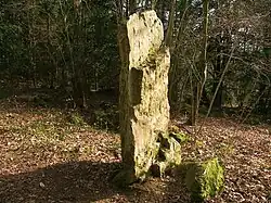 Menhir de la Roche Piquée