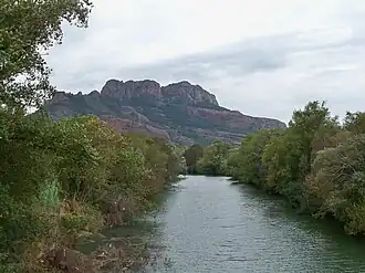 Le fleuve Argens dans le Var.