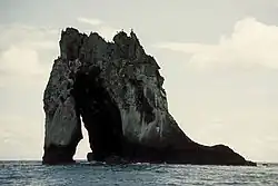 Île GorgonaCauca