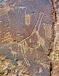 Girafes (art rupestre du Sahara).