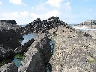 Extrémité ouest de la péninsule d'Angle.Au fond, l'île de Thorn.