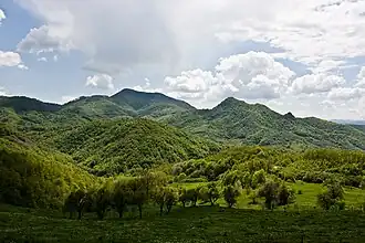 Image illustrative de l’article Rogozna (montagne)