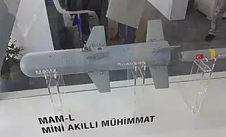 MAM (Smart Micro Munition)