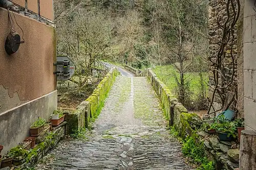 Vue vers l'ouest, chaussée, caniveau et parapet