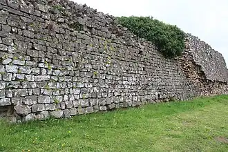 Image illustrative de l’article Venta Silurum