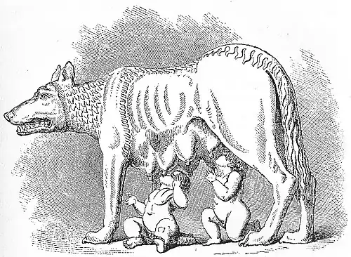 « Histoire de Rome », publié en 1860, par Henry Liddell, avec des illustrations de John Gardner Wilkinson.