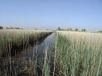 Image illustrative de l’article Marais audomarois