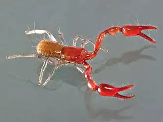 Description de cette image, également commentée ci-après