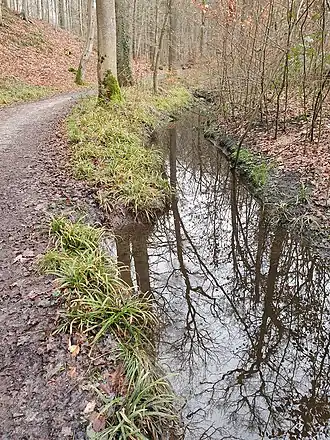 Le Roodkloosterbeek à la hauteur de la Halfuurdreef (en hiver)