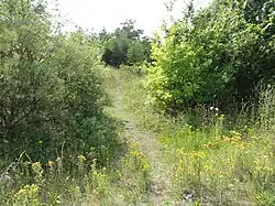 Le terril no&nbsp;136.