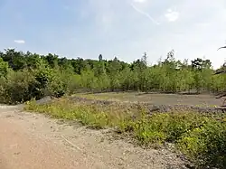 Le terril no&nbsp;138.