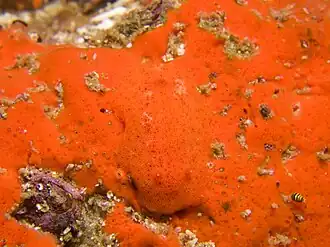 Description de cette image, également commentée ci-après