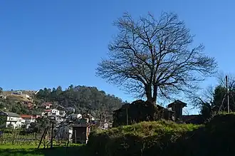 Arões (Vale de Cambra)