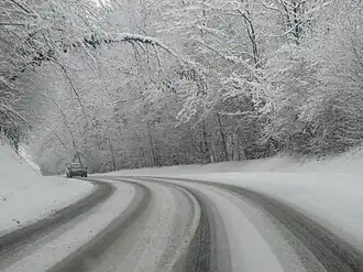 Image illustrative de l’article Forêt de Rothonne