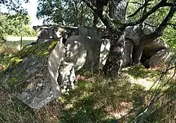 Pierre couverte du Clos-Badier