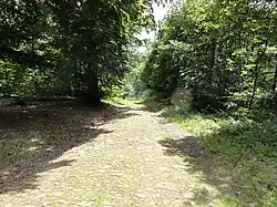 Route du bois Belle-Fille.