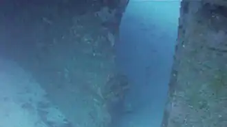 Le gouvernail et l'arbre d'hélice