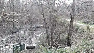 Image illustrative de l’article Ru du Merdereau