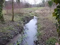 Ru de Rungis dans le parc des Aulnes.