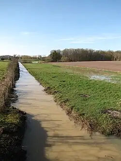 Marchais-Beton, pont de la D 57 (amont), 23 février 2014,champ détrempé.