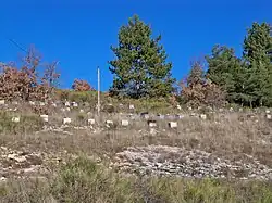 Ruches à la combe du Pommier.