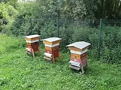 Les ruches du Pont Ballot