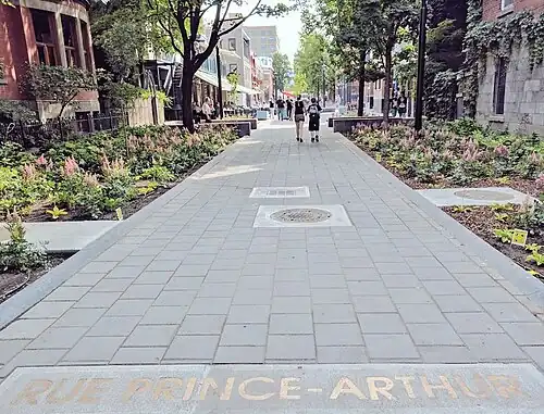 Description de l'image Rue.PrinceArthur.Est.Juillet2017.jpg.