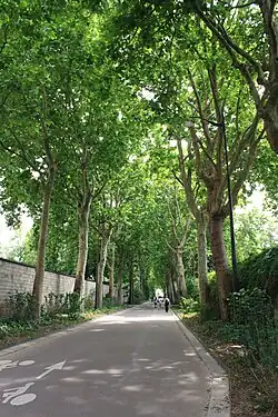 La rue après sa piétonisation en 2025.