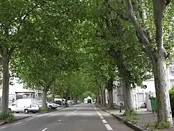 Rue des Alliés avant le carrefour avec la rue de Stalingrad
