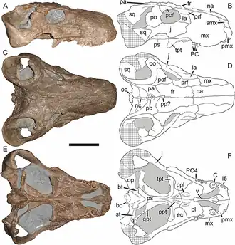 Description de cette image, également commentée ci-après