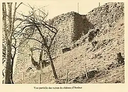 Ruines du château d'Ambur.