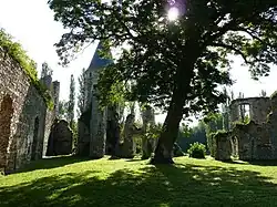 Les ruines du Vivier.