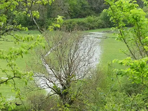Le ruisseau en crue au lieu-dit la Combe, 200 mètres en aval de sa source..