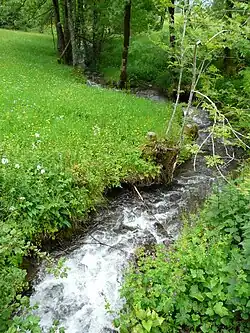 Le ruisseau de Colantigue.