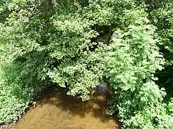 Le ruisseau d'Ozange à Saint-Exupéry-les-Roches.