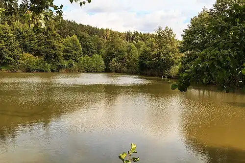 Étang Švandrlík u Ledské.