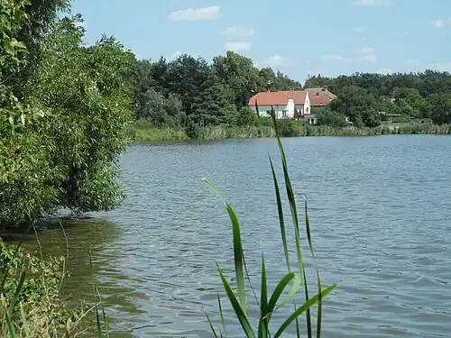 Étang de Buňkov.