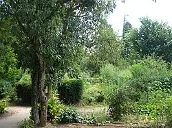 Jardin entomologique et botanique