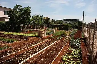 Petite ferme à la Havane.