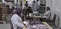 Fabrication de médicaments, ici à la State Company for Drugs Industry and Medical Appliances (SDI Company) à Samarra, en Irak (2019);