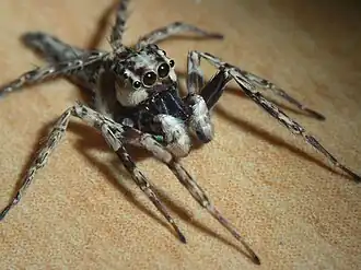 Description de cette image, également commentée ci-après