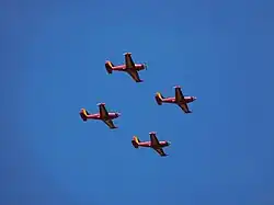 Défilé aérien pour la fête nationale, vue depuis la place des Palais.
