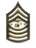 Sergeant major of the Marine Corps, insigne de col.