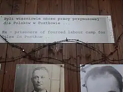 Photos de prisonniers du SS-Truppenübungsplatz Heidelager