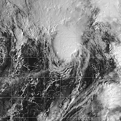 Nicole le 11 octobre 2004