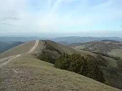 Vue de la crête du Milobre de Bouisse.