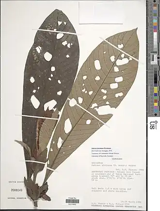 Description de cette image, également commentée ci-après