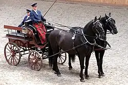 Photo de deux chevaux noirs à l'arrêt attelés à une voiture.